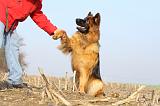 ADULTE ET CHIEN 131